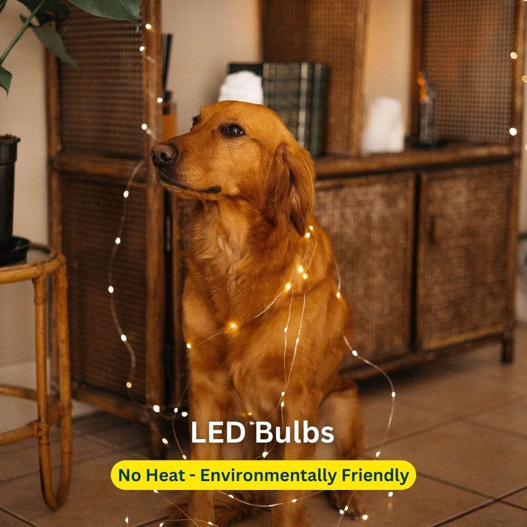 20m 200 LED Solar Copper Wire Fairy Lights