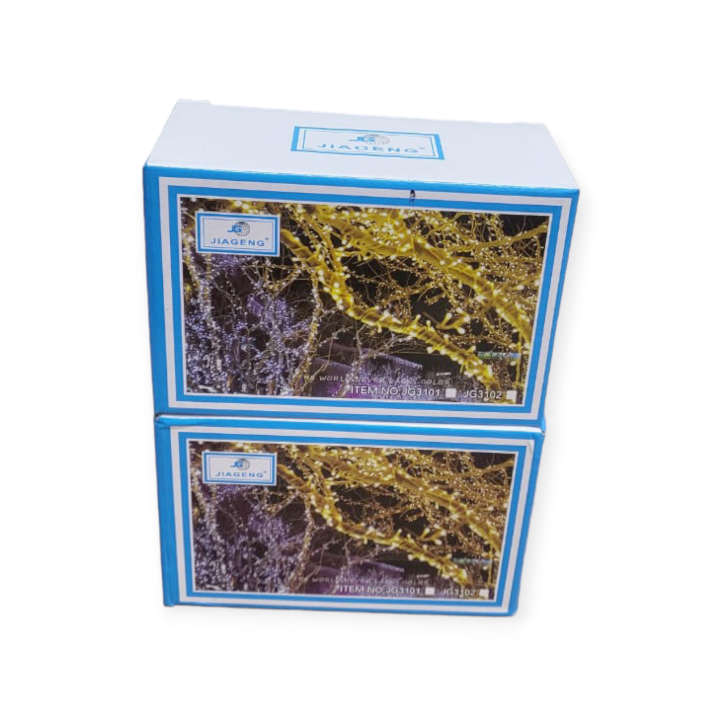 JG3101 LED Fairy Light String 10M