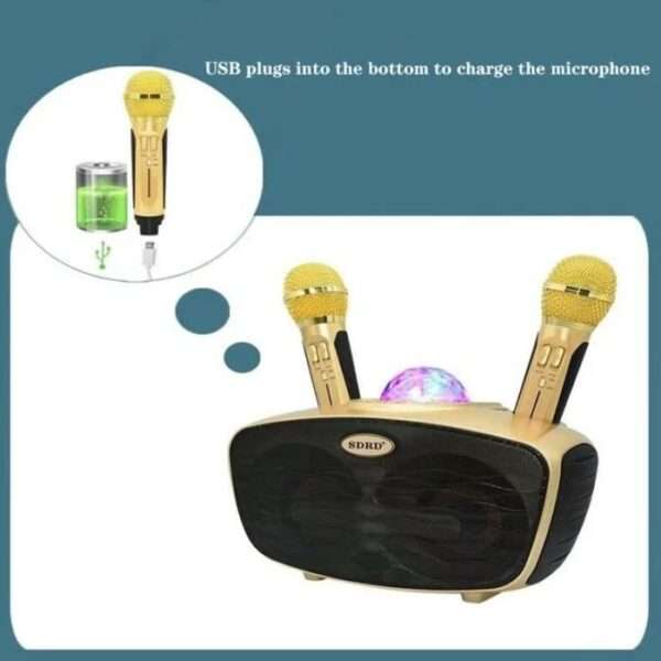 SD315 Karaoke Microphone Speaker