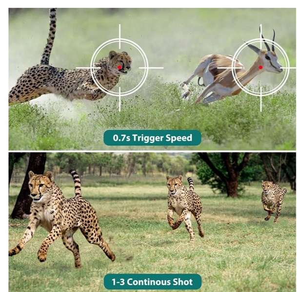 DL001 Trail Infrared Wildlife Hunting Camera