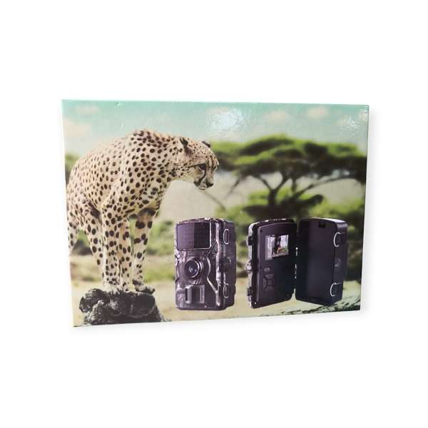 DL001 Trail Infrared Wildlife Hunting Camera
