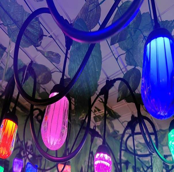 ZYF-153 Loofah 5M String With Hooks RGB Lights 10 Bulbs