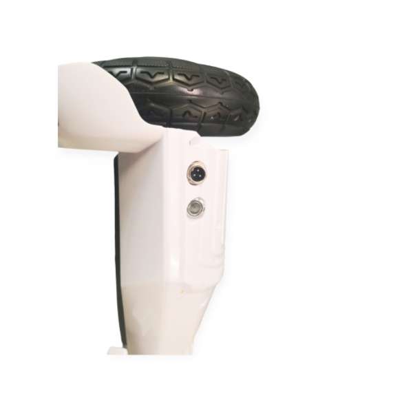 8 Inch Smart Auto Balance Hoverboard With Bluetooth Speaker And LED Light