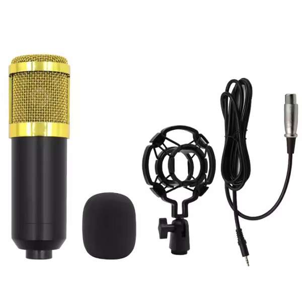 PM-217 BM-800 Microphone + Accessories