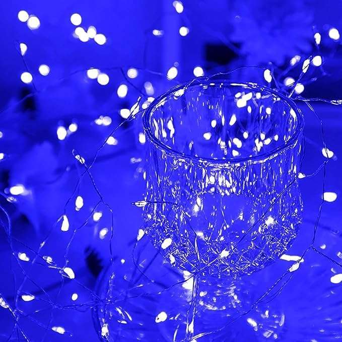 ZYF-D255 50m Firecracker Copper Wire 1000LI P44 With Remote Control 220V Blue