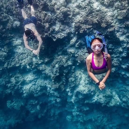 Suunto SUUNTO D4F BLACK (FREEDIVE)