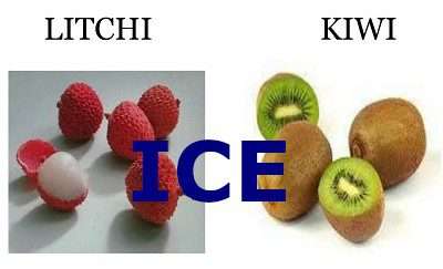 Kiwi Litchi On ICE - 0mg