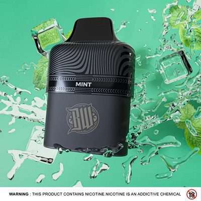 Bewolk Mint Ice Replacement Pods