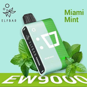 Elf Bar EW9000 Kit - Miami Mint 50mg (5%)
