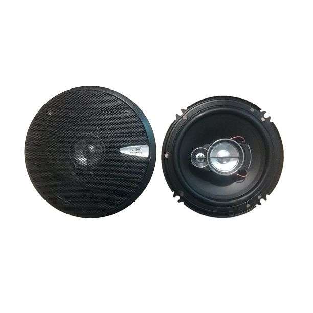 IcePower 6" MidRange Speakers