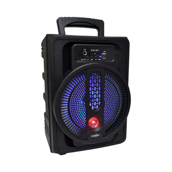GTS-1671 Bluetooth 8" Speaker