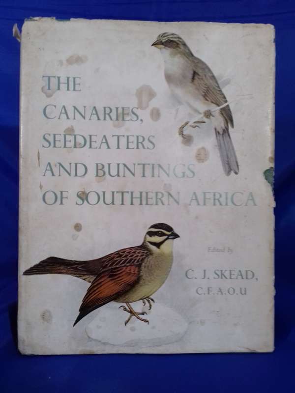 Canaries Seedeaters and Buntings of Southern Africa