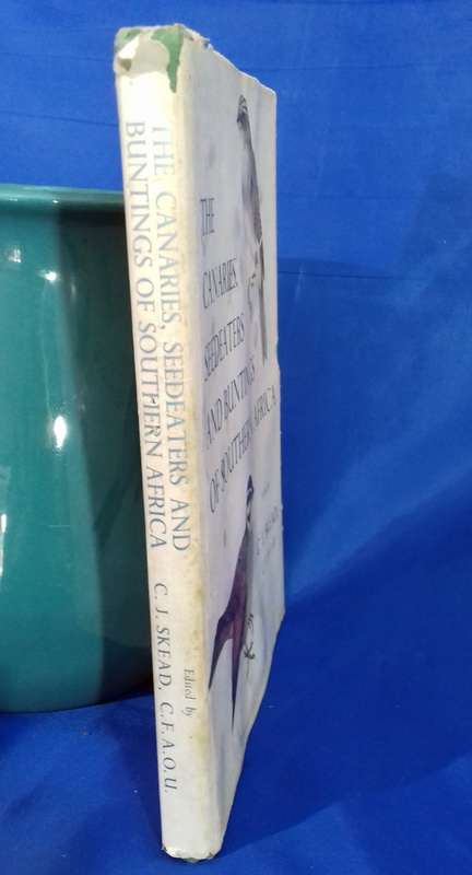 Canaries Seedeaters and Buntings of Southern Africa