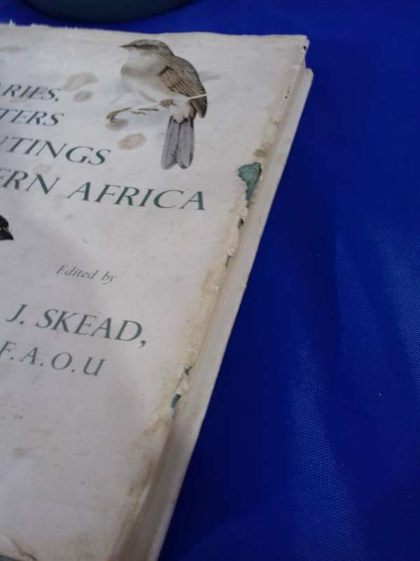 Canaries Seedeaters and Buntings of Southern Africa