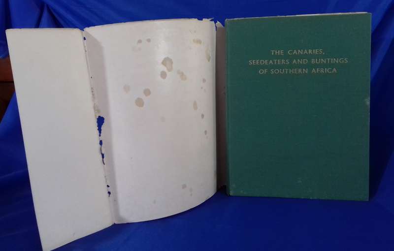 Canaries Seedeaters and Buntings of Southern Africa