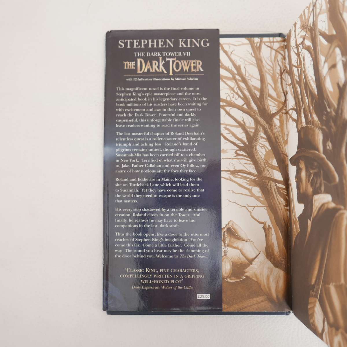 The Dark Tower VII by Stephen King
