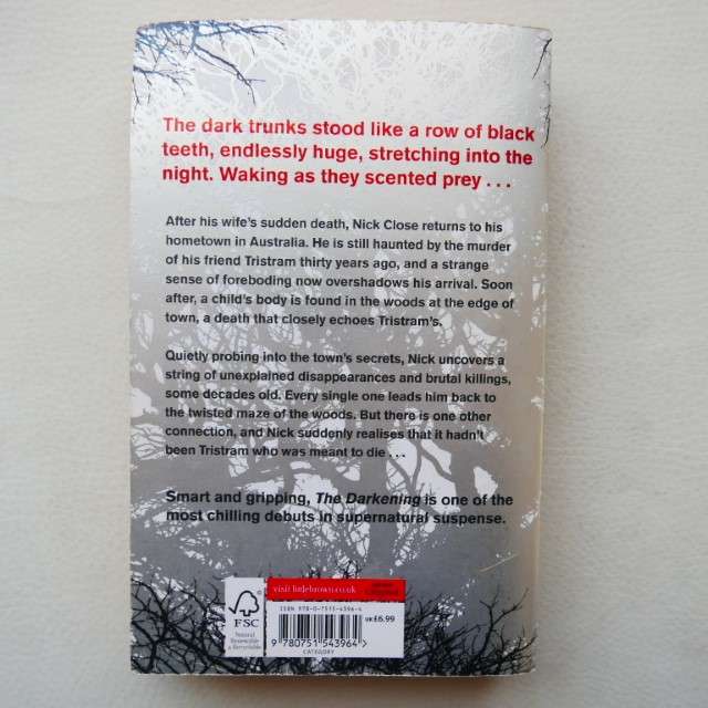 The Darkening by Stephen M Irwin