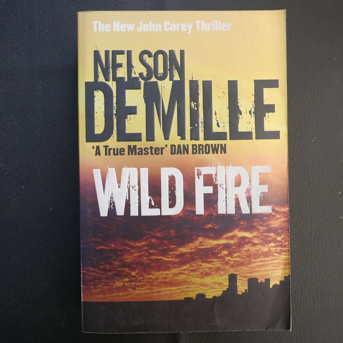 Wild Fire by Nelson Demille