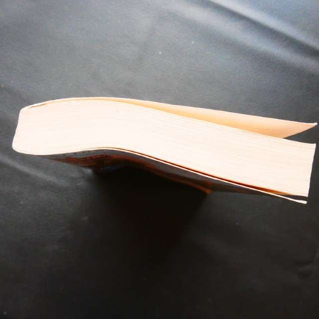 The Dress Lodger by Sheri Holman