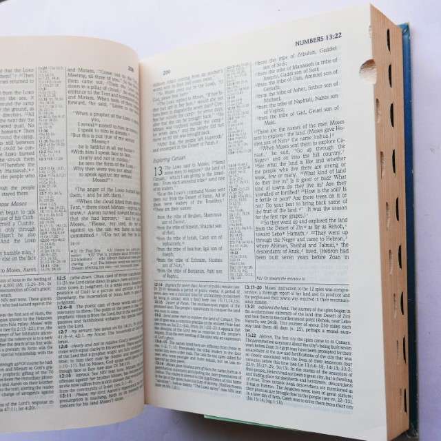 The New NIV Study Bible