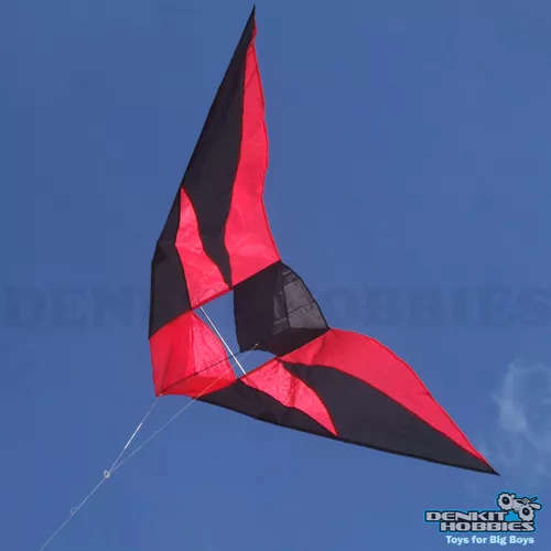 Hi-Fly Fun Delta Conyne Kite