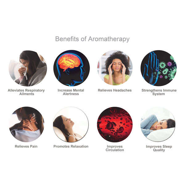 Perfectaire Purify Triple Pack