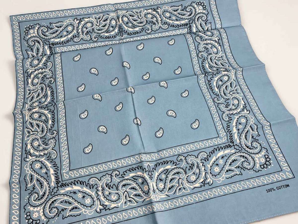 Paisley print Bandana Baby Blue