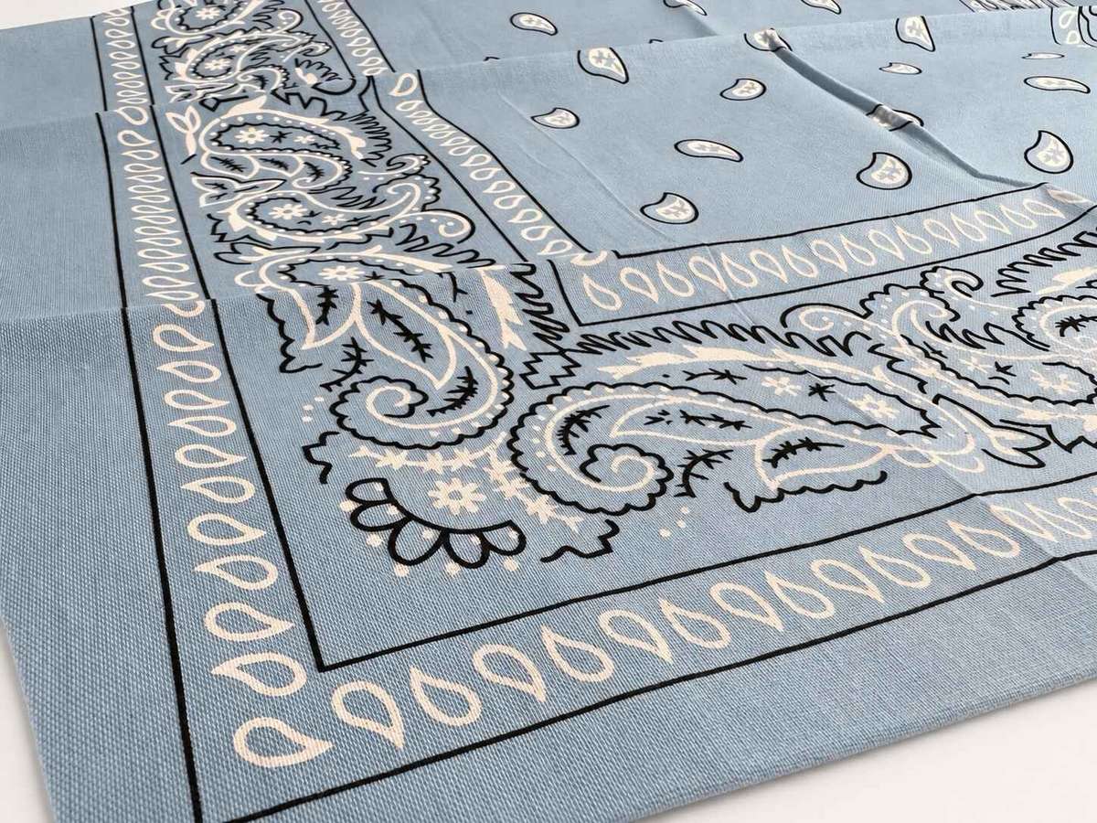 Paisley print Bandana Baby Blue