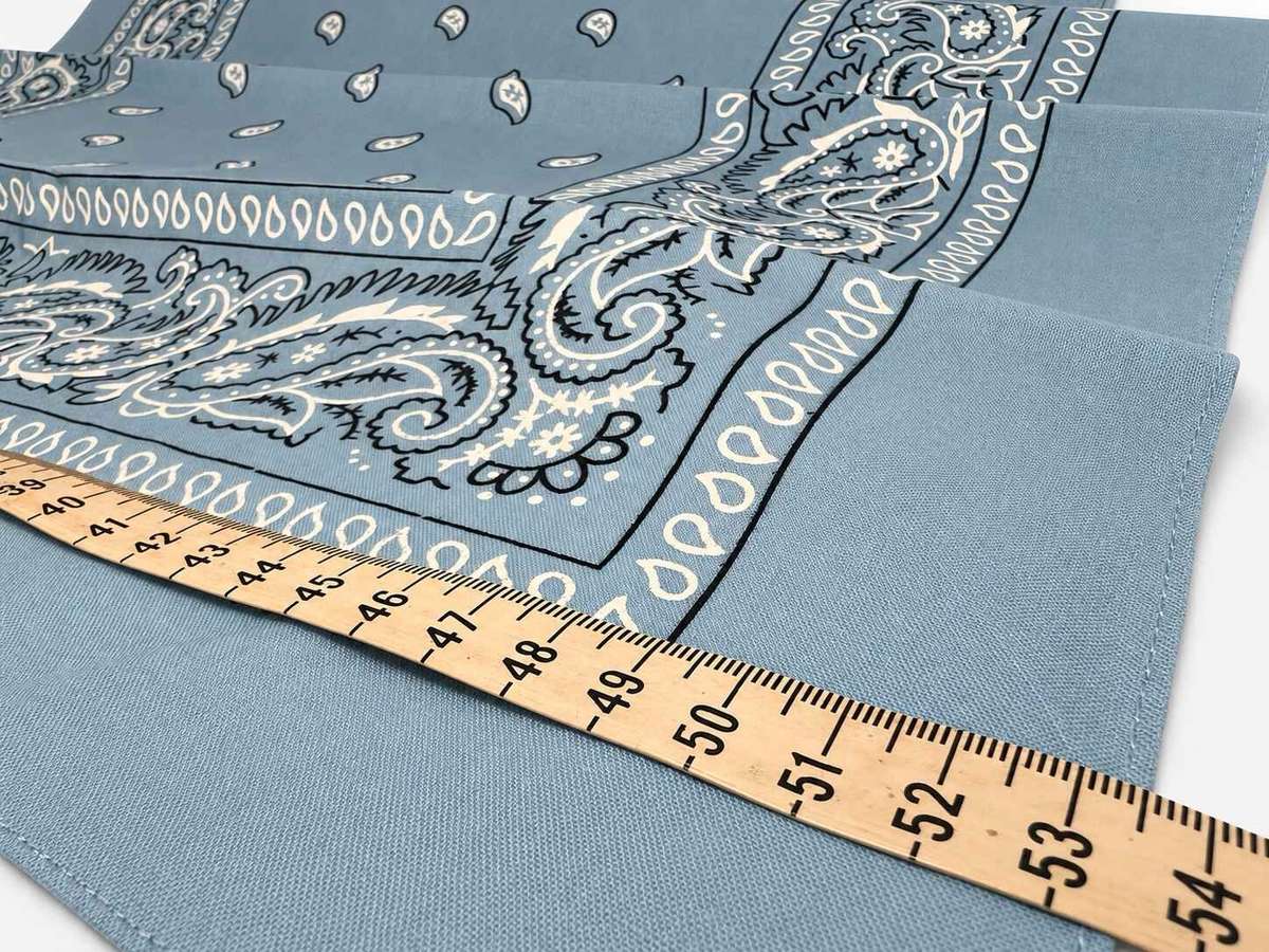 Paisley print Bandana Baby Blue