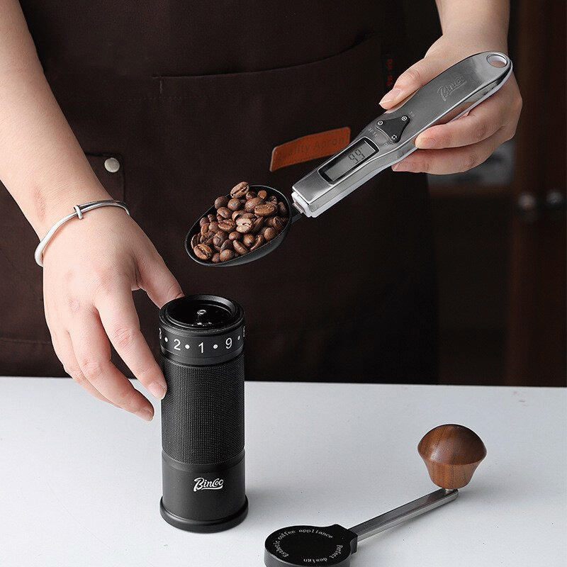 Black - Bincoo Digital Spoon Scale High-precision 0.1g~500g Switchable Stainless Steel Measuring Spo