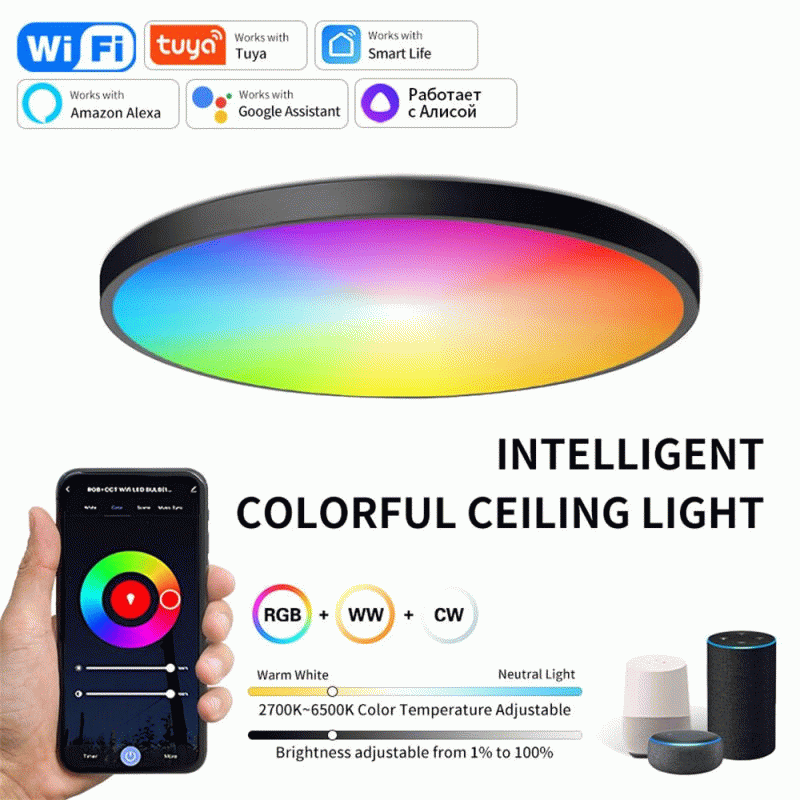 White - Elfeland 24W 30cm Smart LED Ceiling Light RGB+White Light WiFi APP & Voice Control 3000K~650