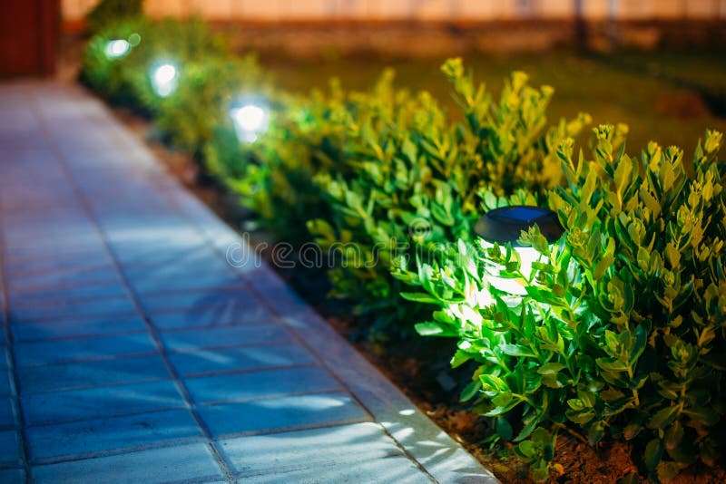 BULK FROM 6 // Solar Garden Light, Lanterns In Flower Bed (white)