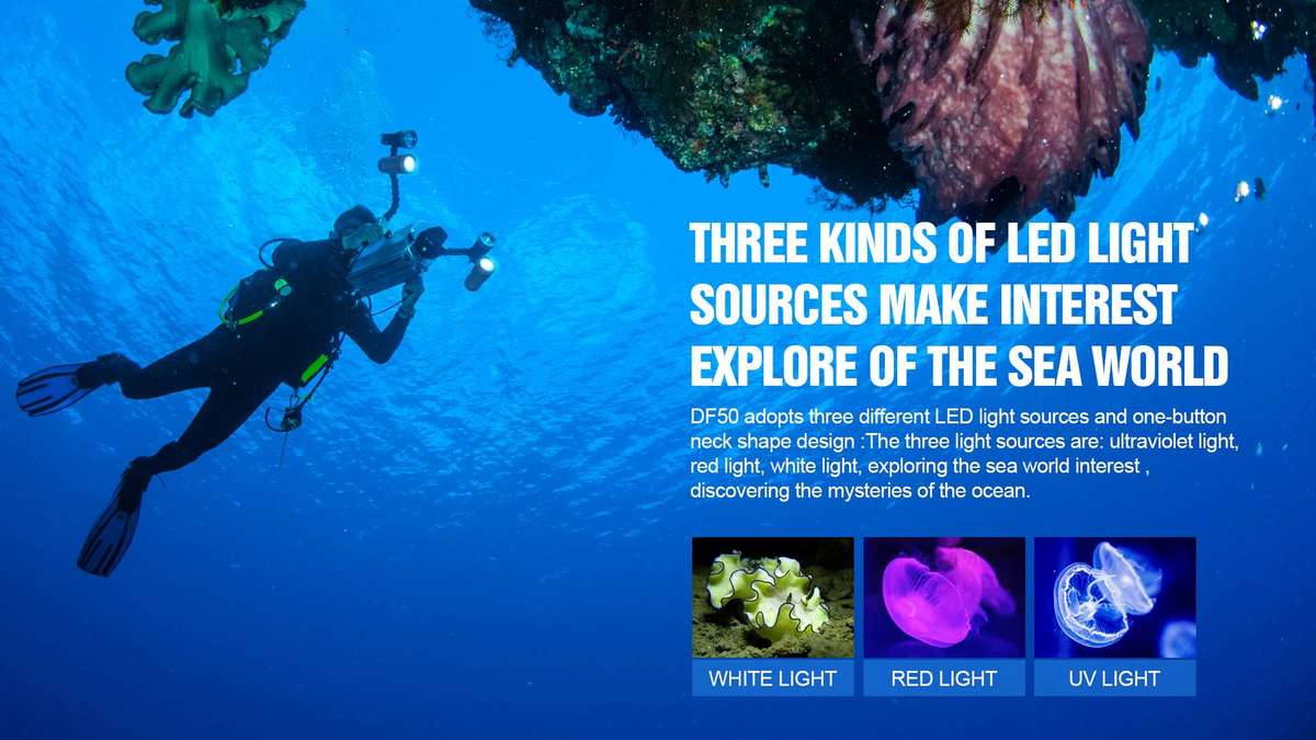 TrustFire DF50 Dive Light 6500 Lumen 105m Throw USB Rechargeable 70M Waterproof