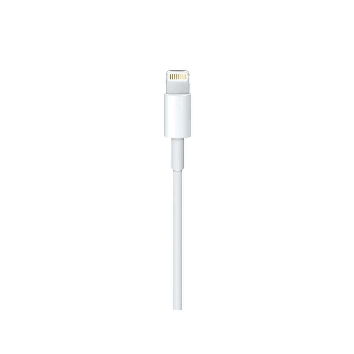 Apple Lightning To USB-C Cable (1 m) - 1 Year Warranty
