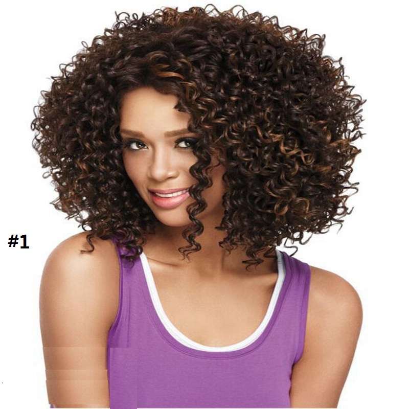 Afro Kinky curly Brazilian Hair African Ameri Curly Body Wavy Women Wig Short Hair