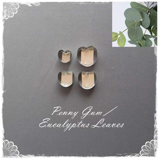 PennyGum / Eucalyptus Leaf Cutter