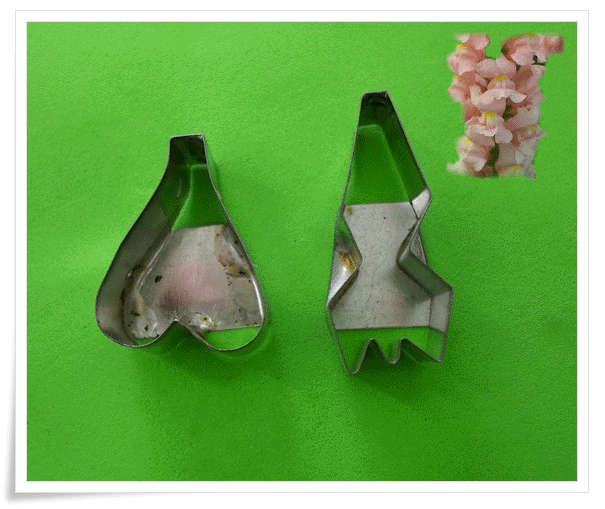 Snap Dragon flower Cutter