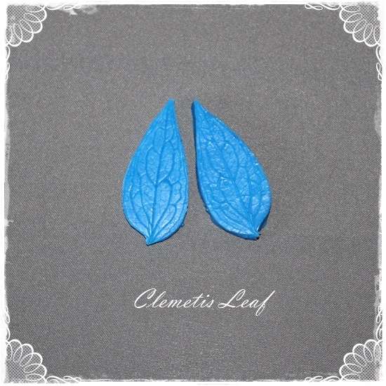 Clematis Leaf Veiner