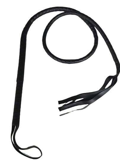 1.8m Whip