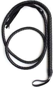 1.8m Whip