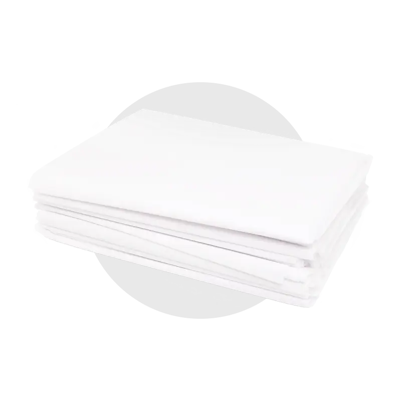 Disposable Bed Sheet Protector - 2m
