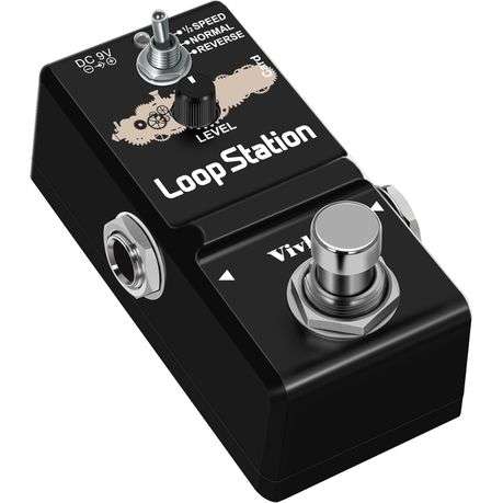 VIVLEX Guitar Loop Station: with 1GB Memory Card