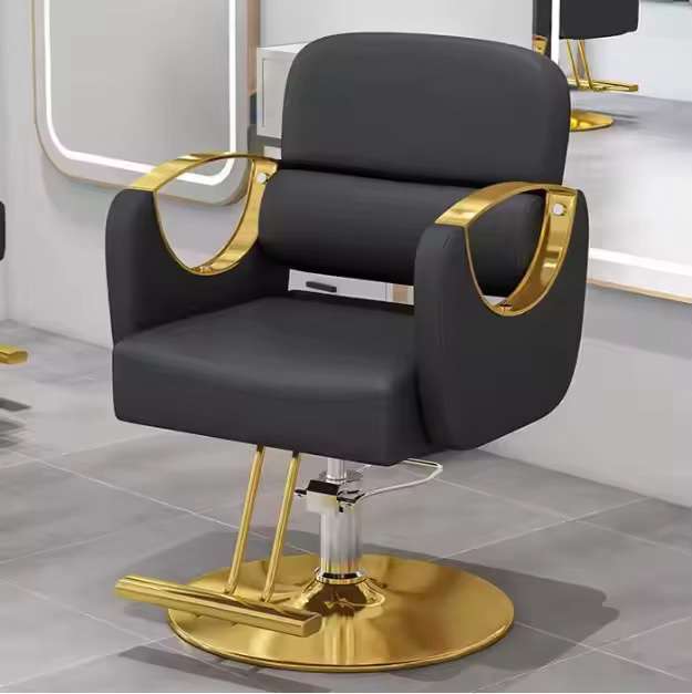 WSSC3 Salon Styling Chair