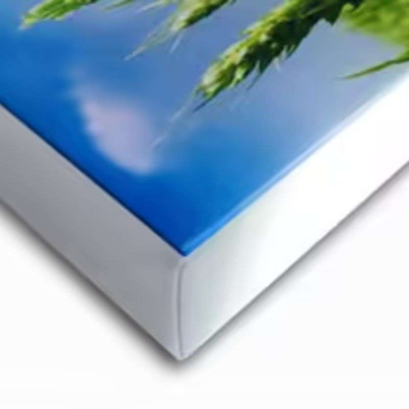 PhotoRanger Canvas Print Wedding Kiss