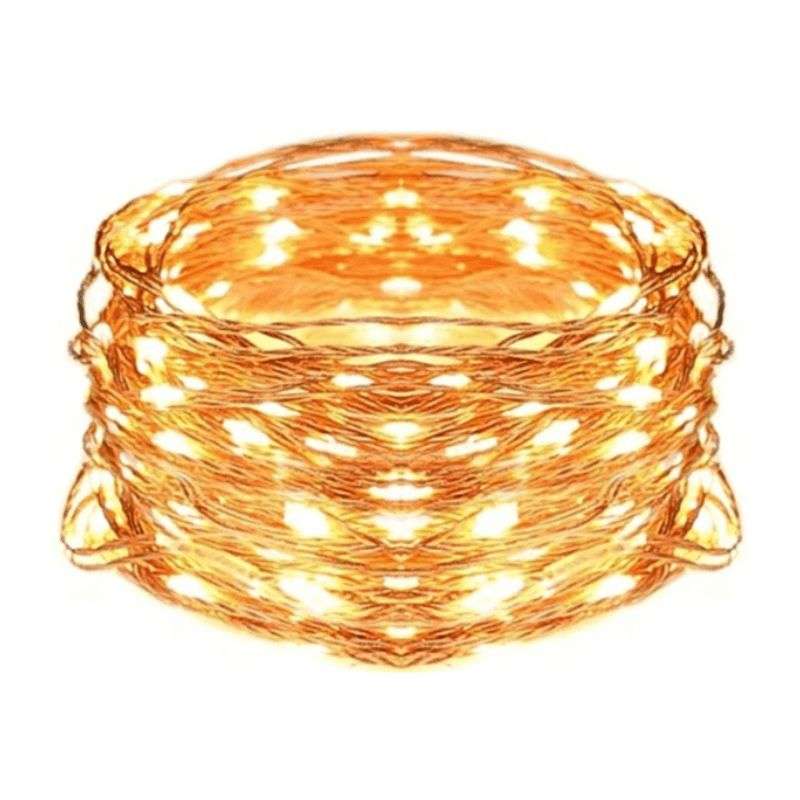 WorldCart Copper String LED Fairy Lights - 5m
