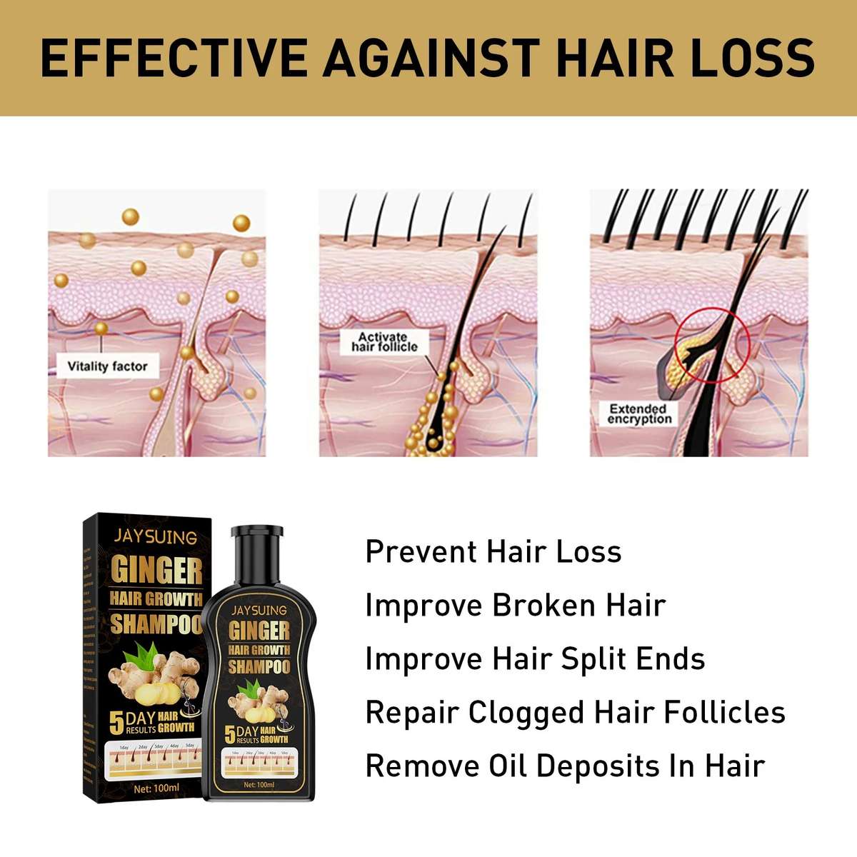 Ginger Anti-Hair Loss 100ml Thickening Conditioner Shampoo and Faster Hair Growth for Women and Men