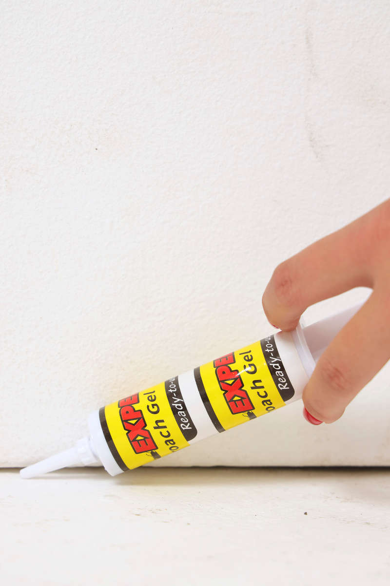 Roach Expert Doctor Cockroach Killing Gel 30g