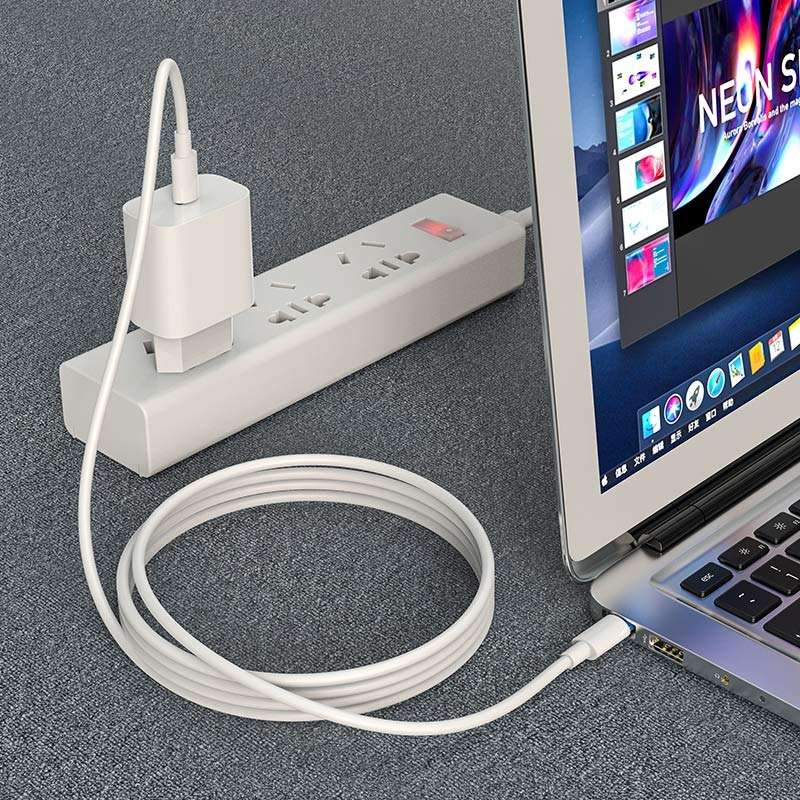 HOCO X51 Cable Type-C to Type-C High-Power 100W Charging Data Sync 2 Meter