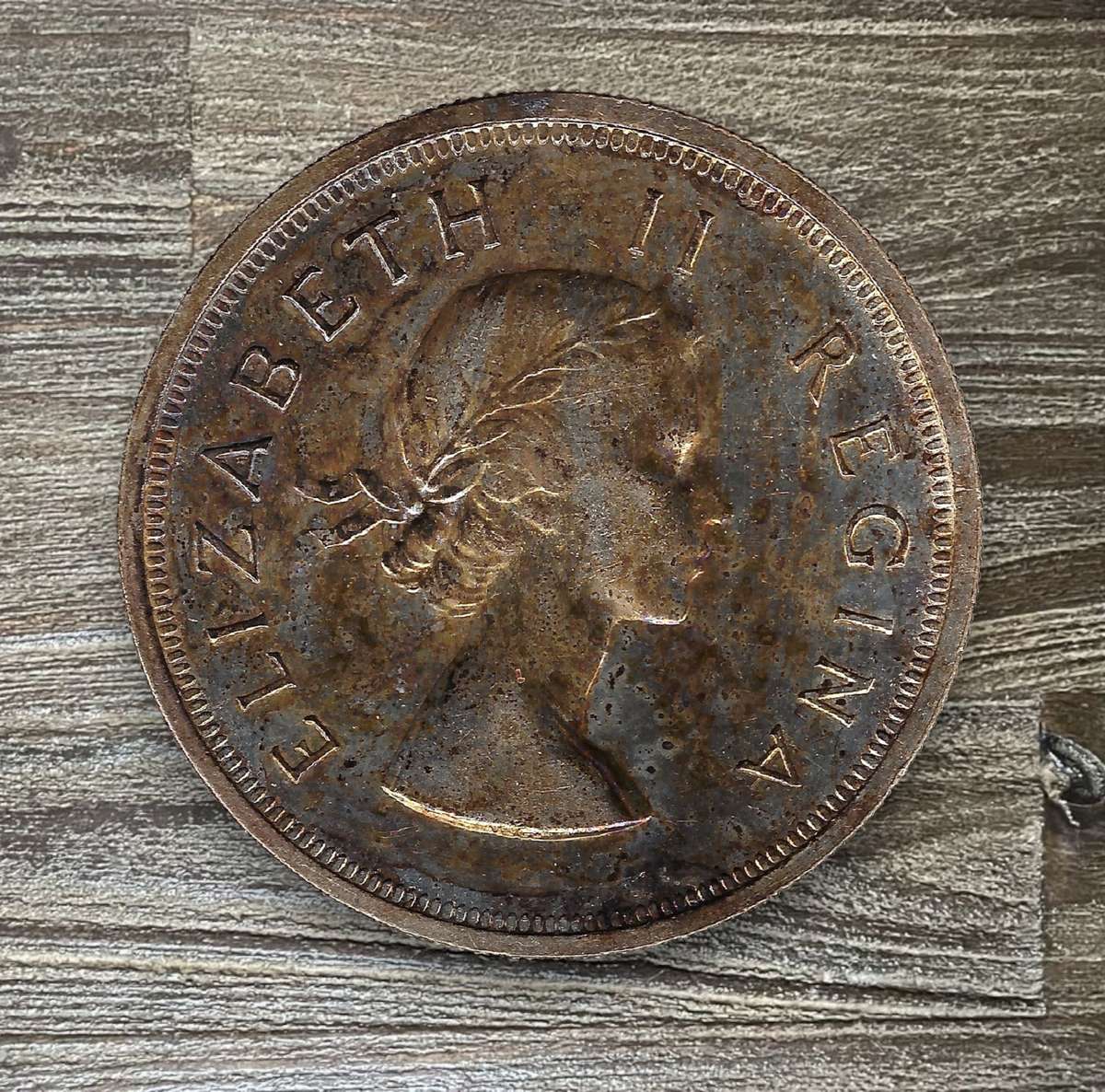 1955 *** 5 Shilling *** Please grade based on the scans