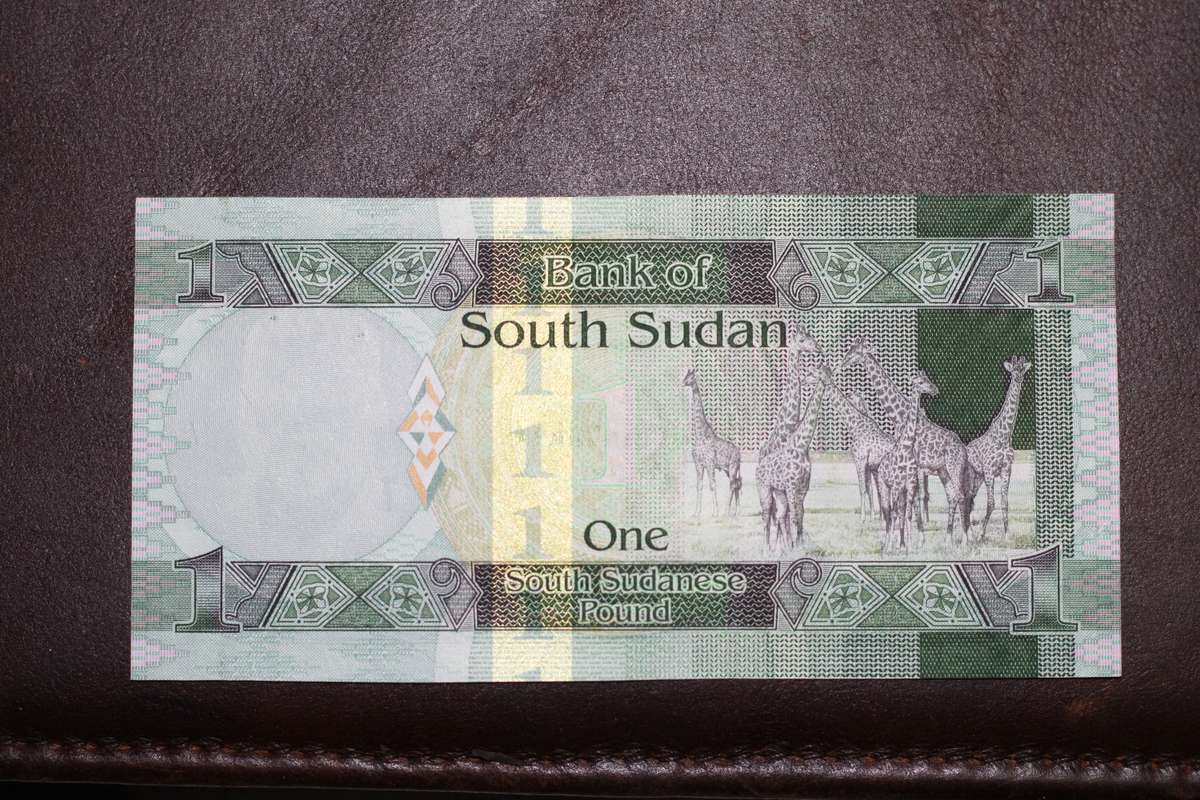 South Sudan *** 1 Pound *** Seldom offered